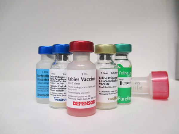 Core Vaccines